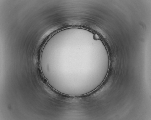 X0000113750922200910141022