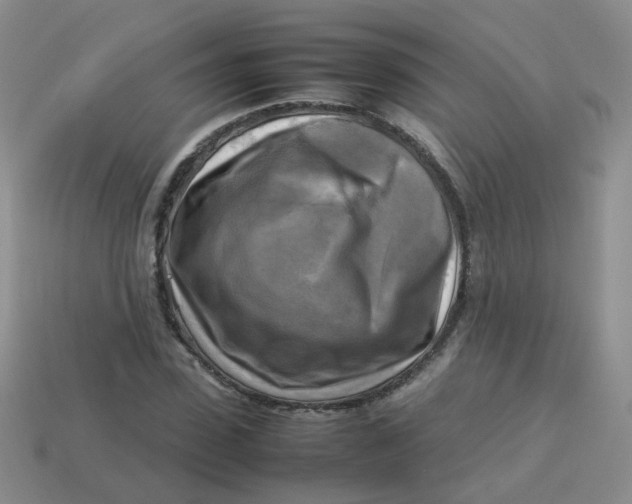 X0000113750923200910141022