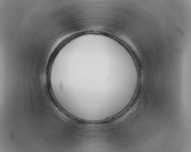 X0000113750924200910141022