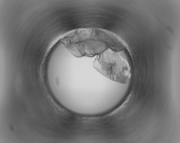 X0000113750925200910141022