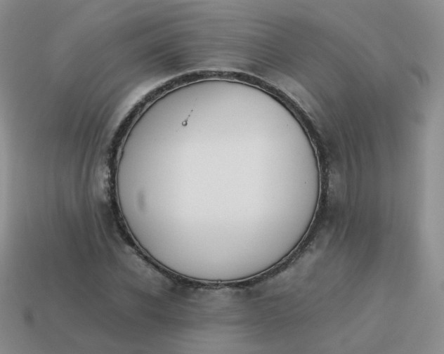 X0000113750926200910141022