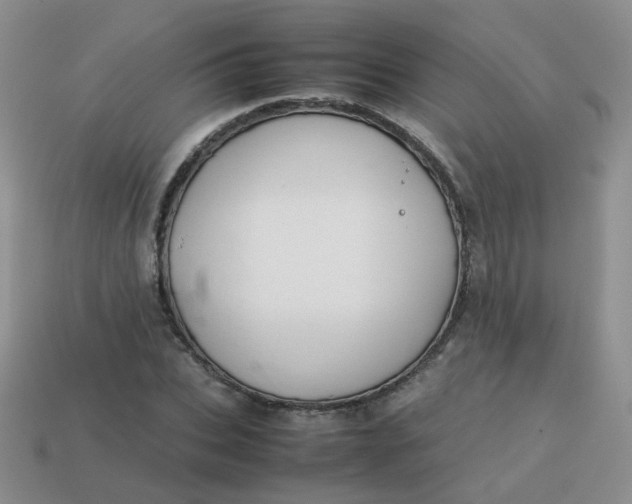 X0000113750927200910141022