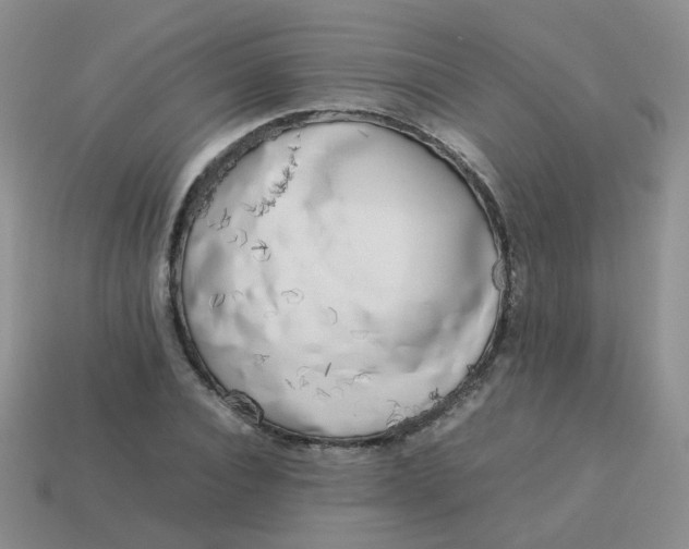 X0000113750928200910141023