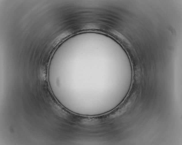 X0000113750929200910141023