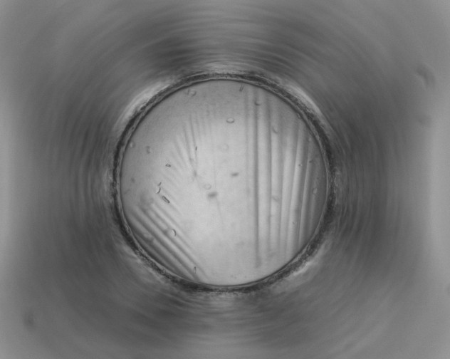 X0000113750930200910141023