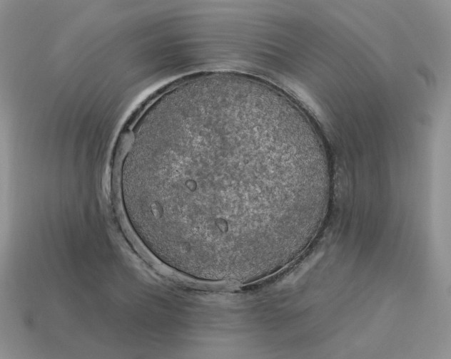 X0000113750932200910141023