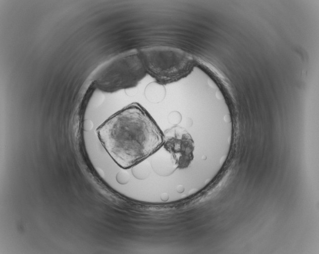 X0000113750933200910141023