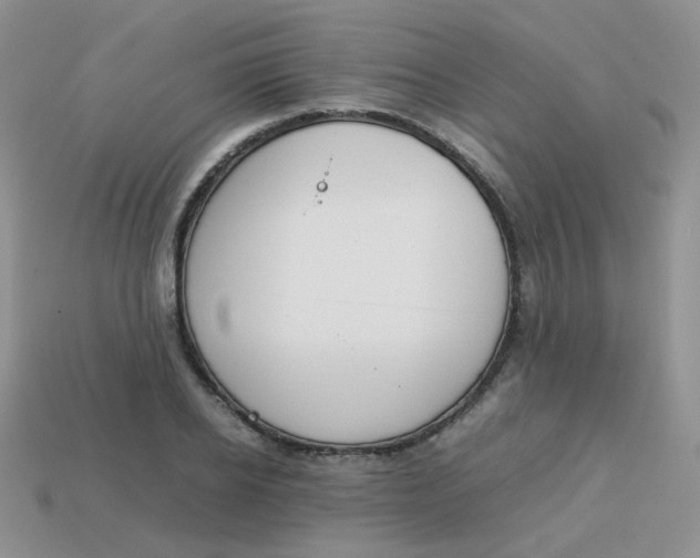 X0000113750934200910141023