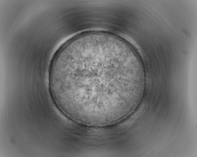 X0000113750935200910141023