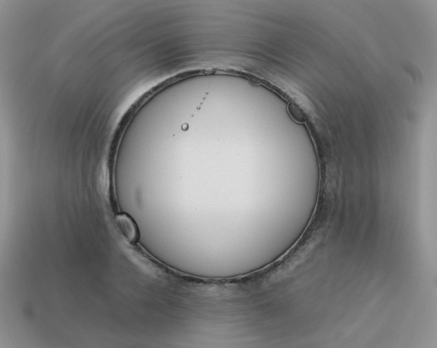 X0000113750936200910141023