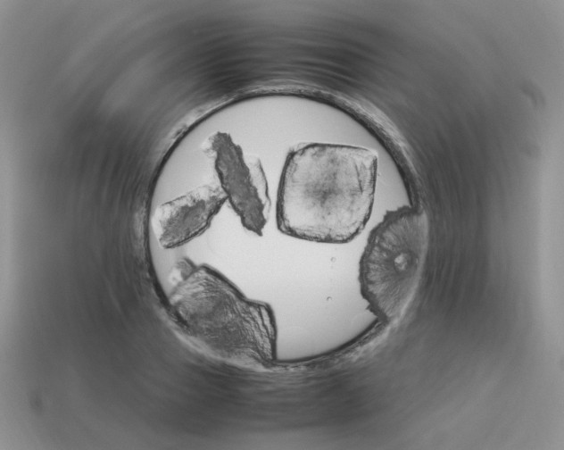 X0000113750937200910141023