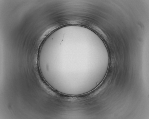 X0000113750938200910141023