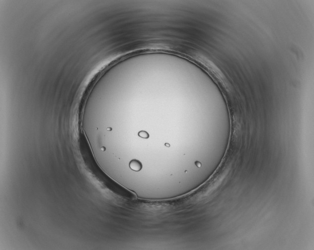 X0000113750939200910141023