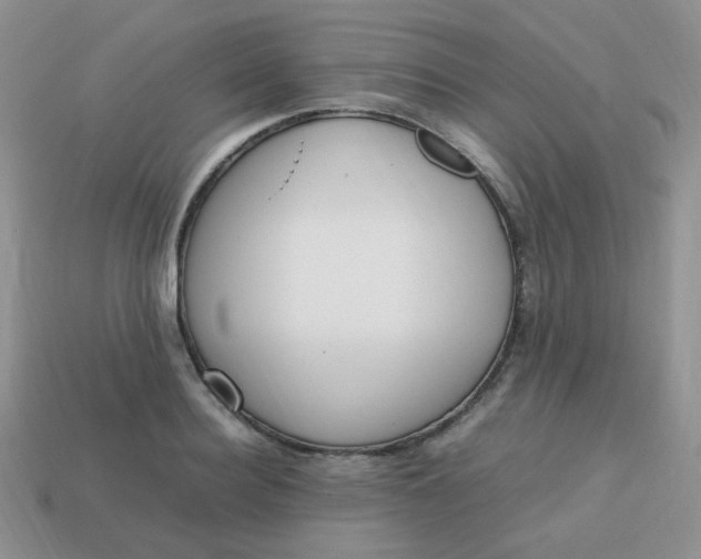 X0000113750940200910141023