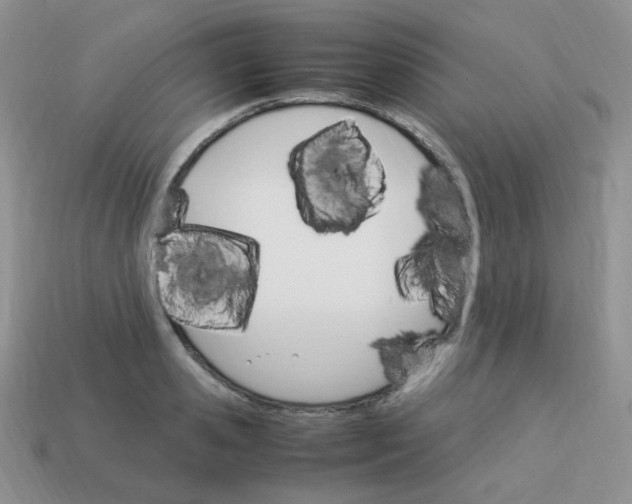 X0000113750941200910141023