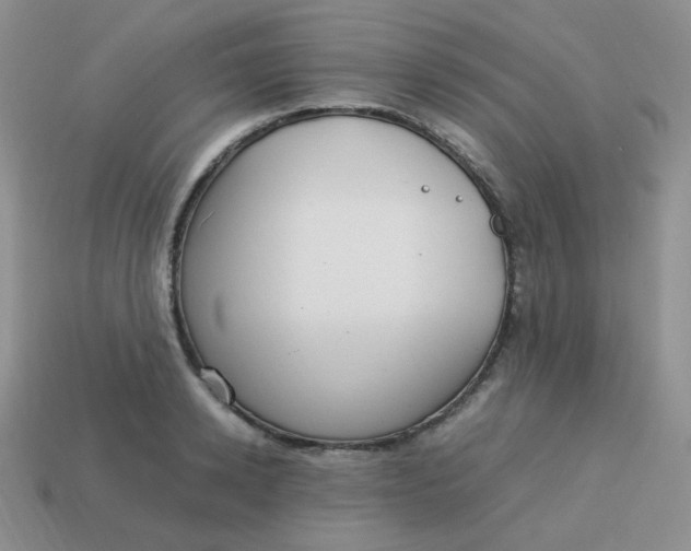 X0000113750942200910141023