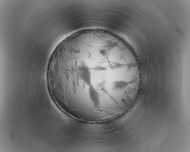 X0000113750943200910141023