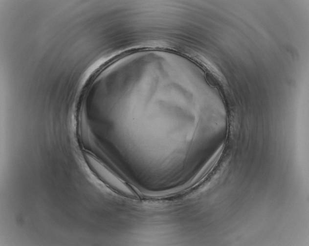 X0000113750944200910141023