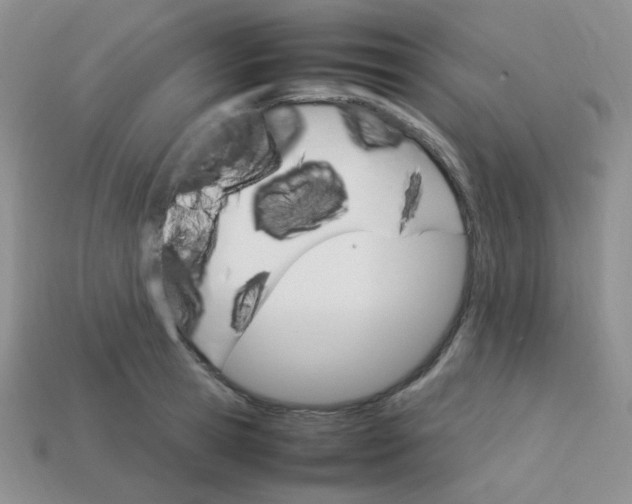 X0000113750945200910141023