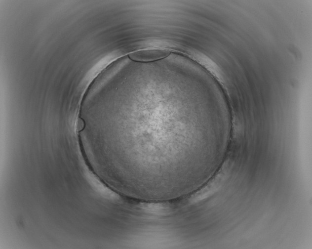 X0000113750946200910141023