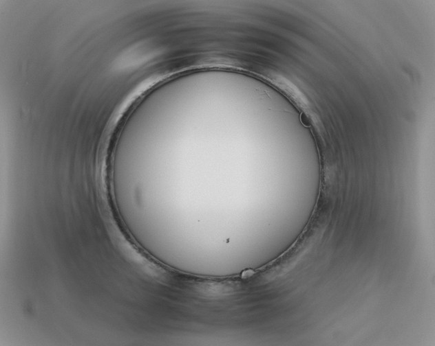 X0000113750947200910141023