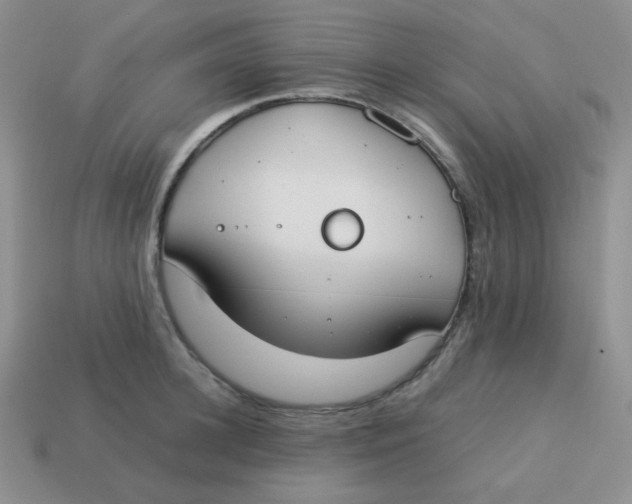 X0000113750948200910141023