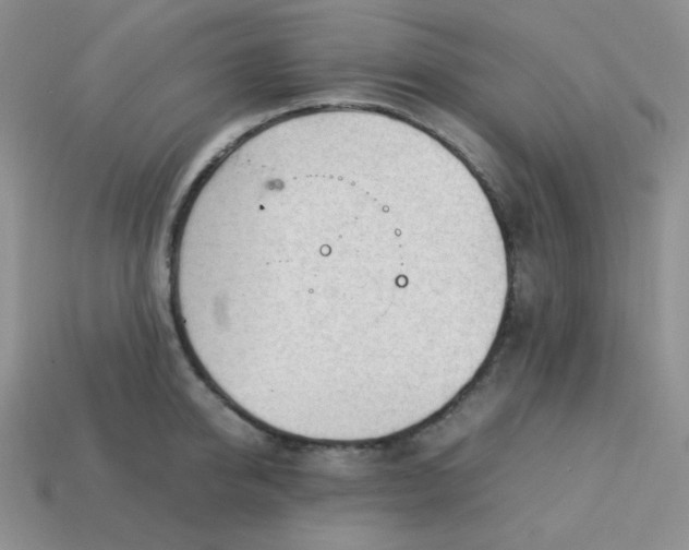 X0000113750950200910141023