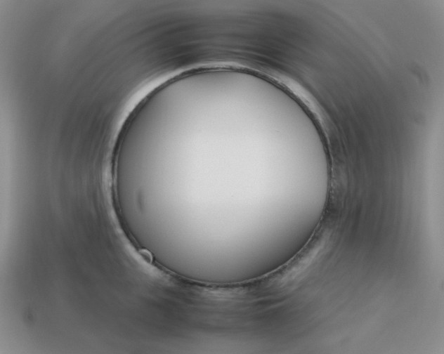 X0000113750951200910141023