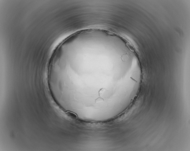 X0000113750952200910141023