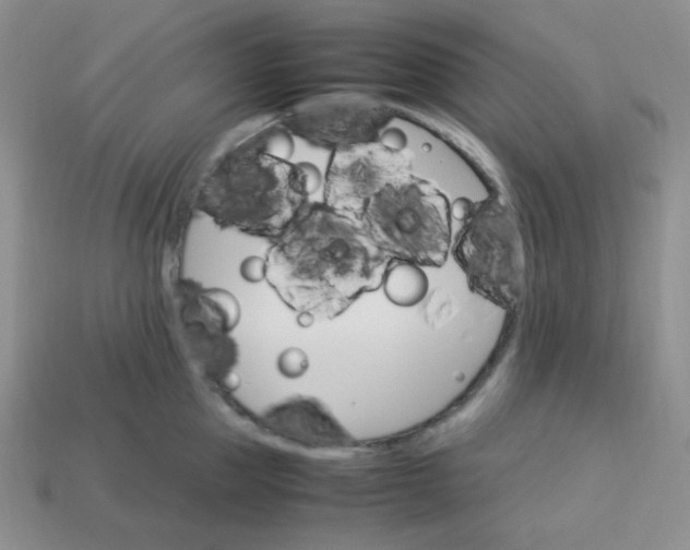 X0000113750953200910141023