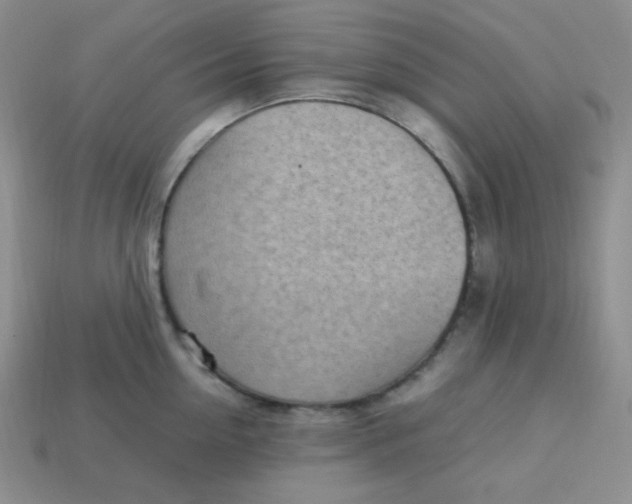 X0000113750954200910141023