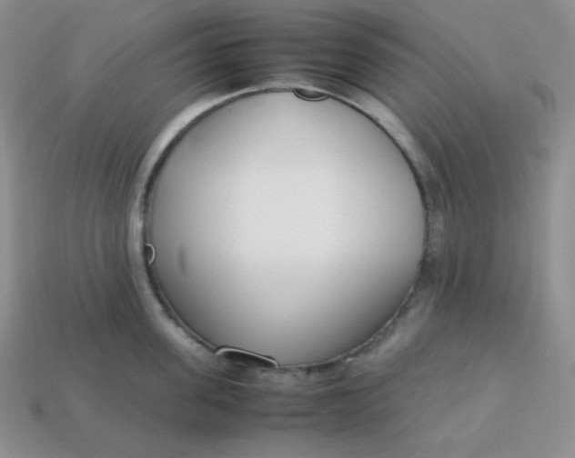 X0000113750955200910141023