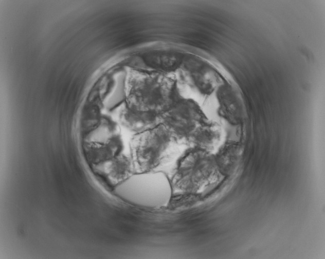 X0000113750957200910141023