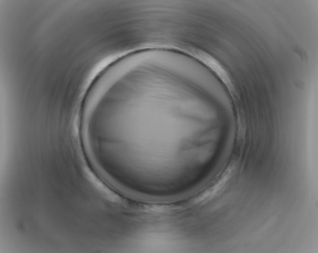 X0000113750958200910141023