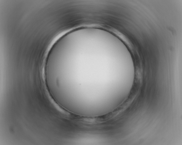 X0000113750959200910141023