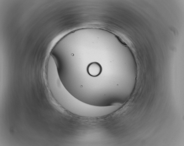 X0000113750960200910141023