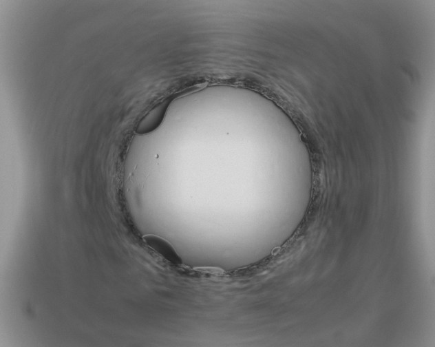 X0000113750961200910141022