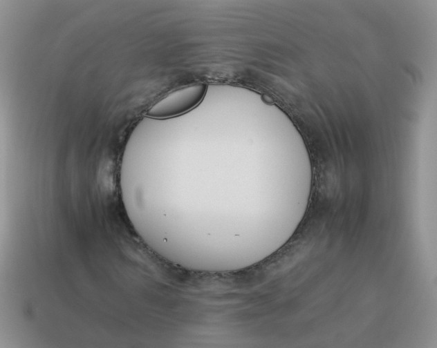 X0000113750962200910141022