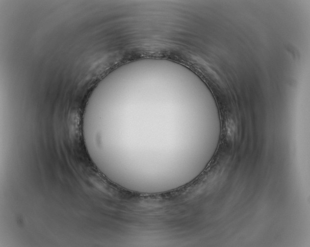 X0000113750964200910141022