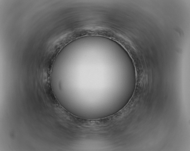 X0000113750966200910141022