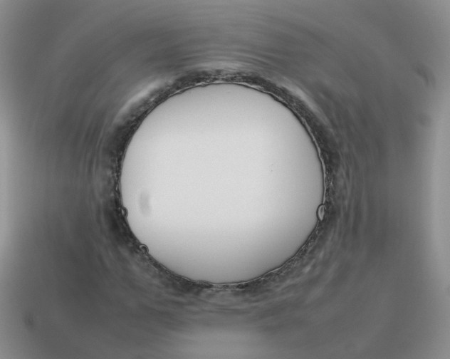 X0000113750967200910141022