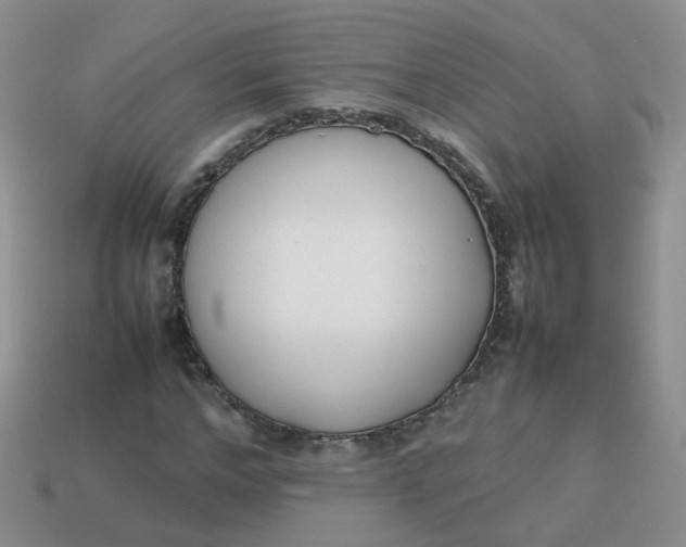 X0000113750968200910141022