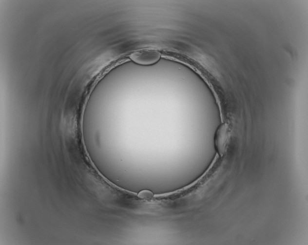 X0000113750969200910141022