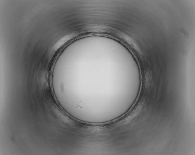 X0000113750970200910141022