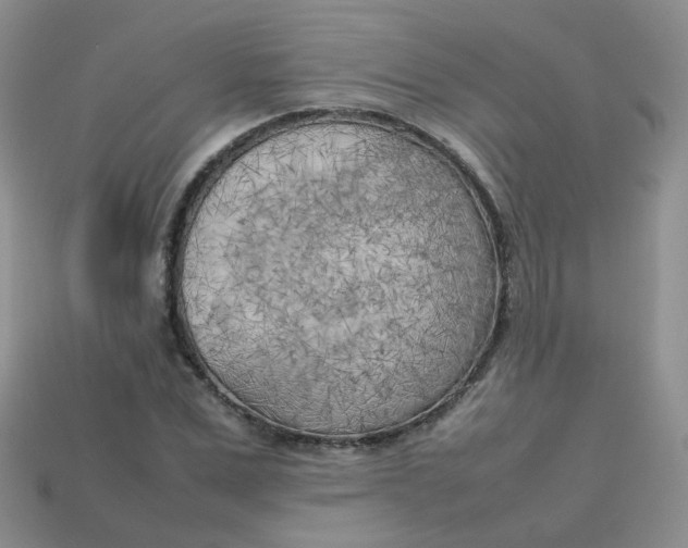 X0000113750975200910141022