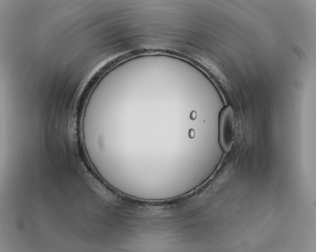 X0000113750976200910141022