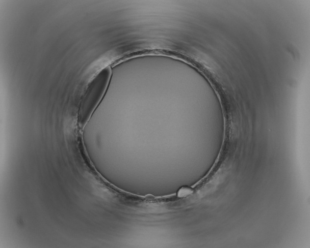 X0000113750977200910141022