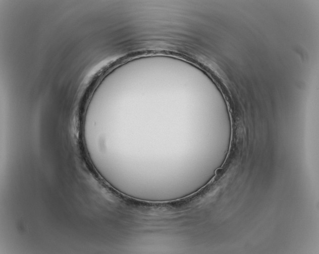 X0000113750979200910141022