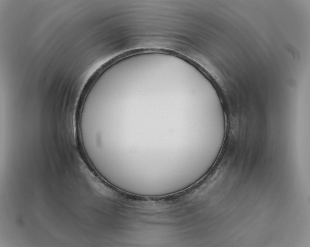 X0000113750980200910141022