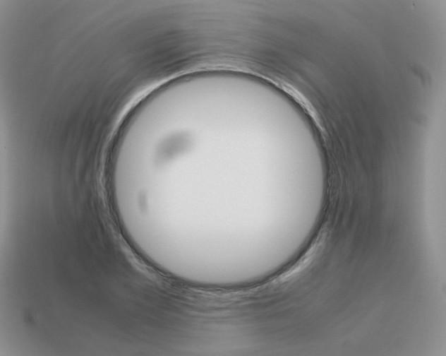 X0000113750981200910141022